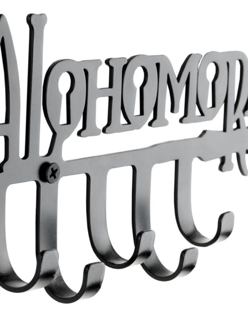 Harry Potter Alohomora Key Holder