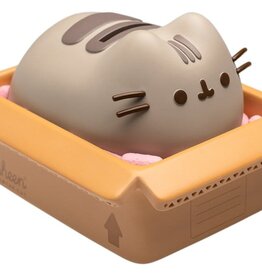 Pusheen Money Bank