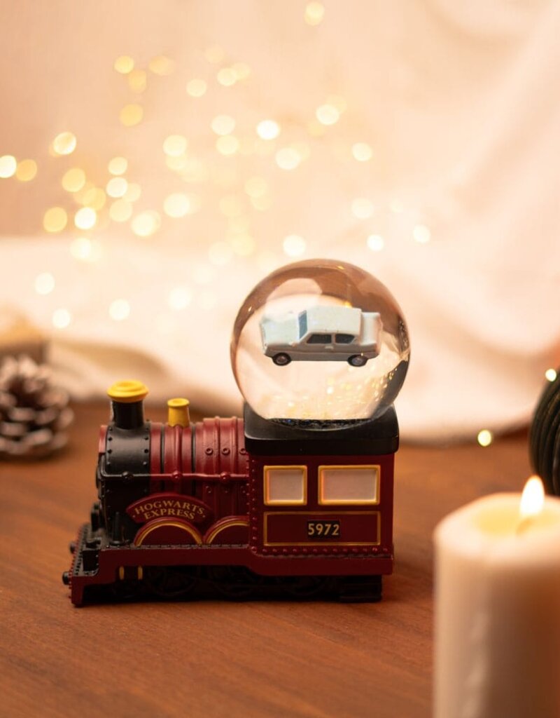 Harry Potter Snow Globe