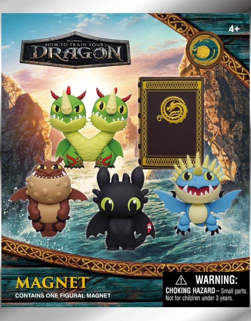 How to train yor dragon - Magnet Blind Bag