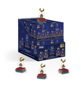 Funko Mini Snow Globe - Harry Potter Mystery Box