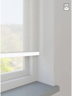 Rolgordijn Semi transparant