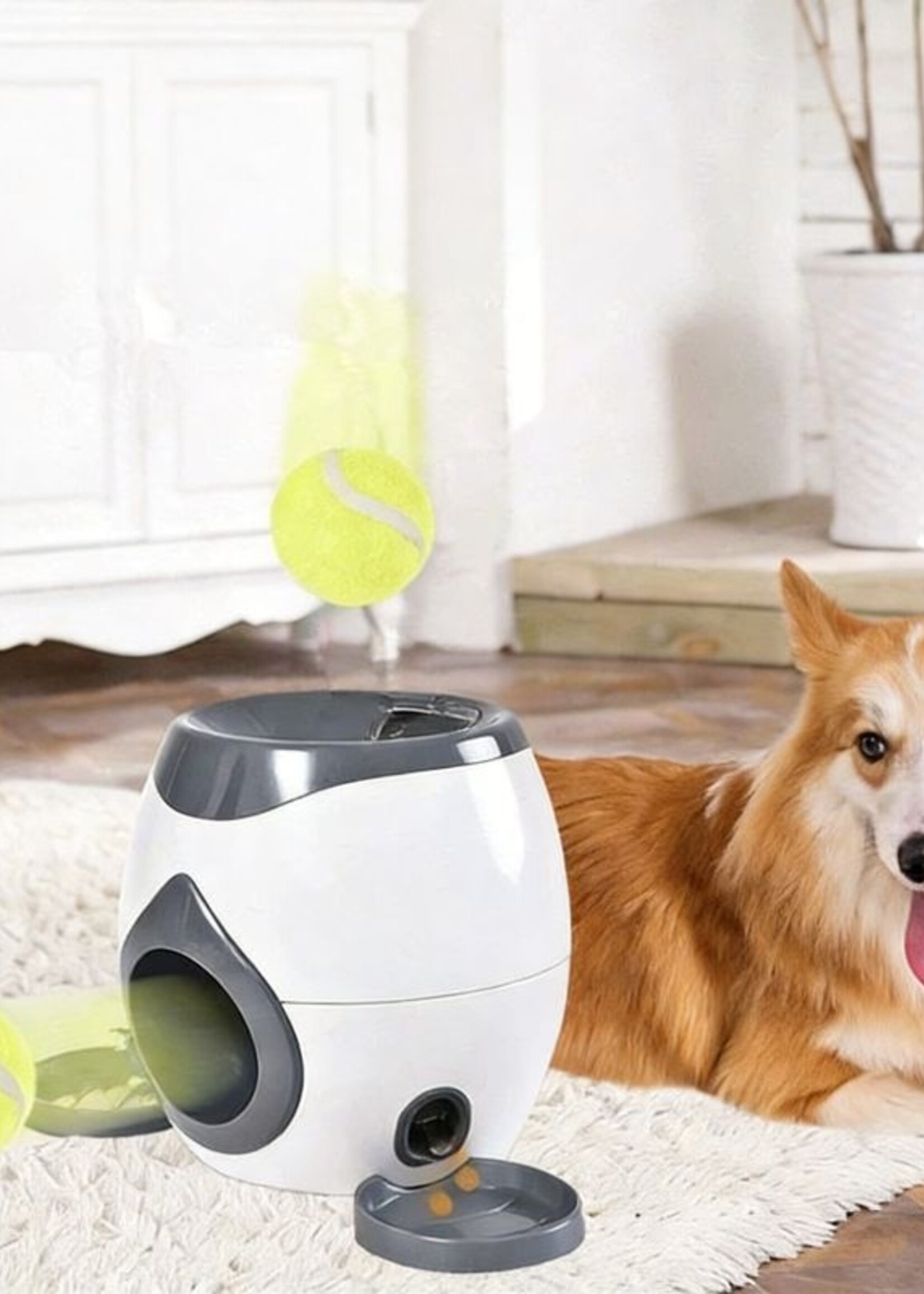 Ceruzo Snackdispenser voor Honden - Beloningsspel