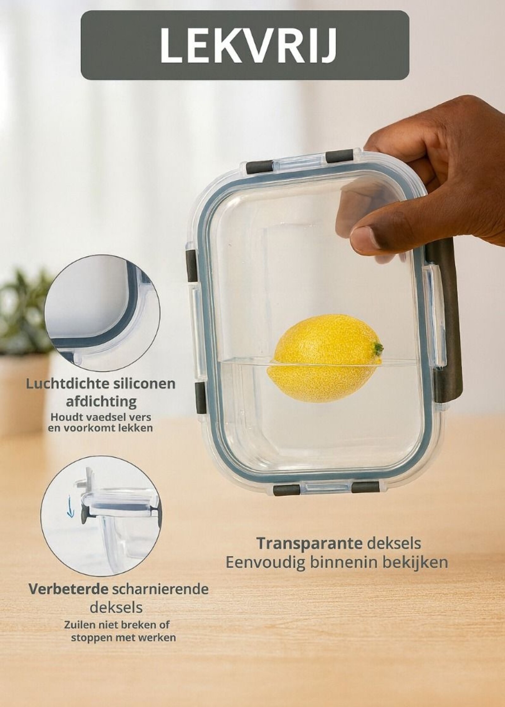 Ceruzo Meal Prep Bakjes - 10 stuks Vershoudbakjes - Glas