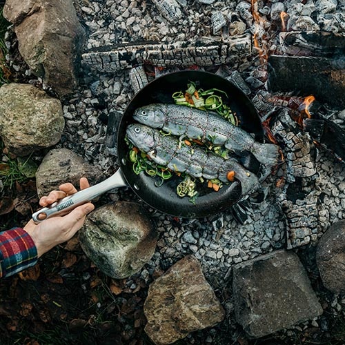 Gusseisenpfanne | Cast - Cookware Iron Skottsberg