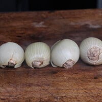 Uienbommen recept