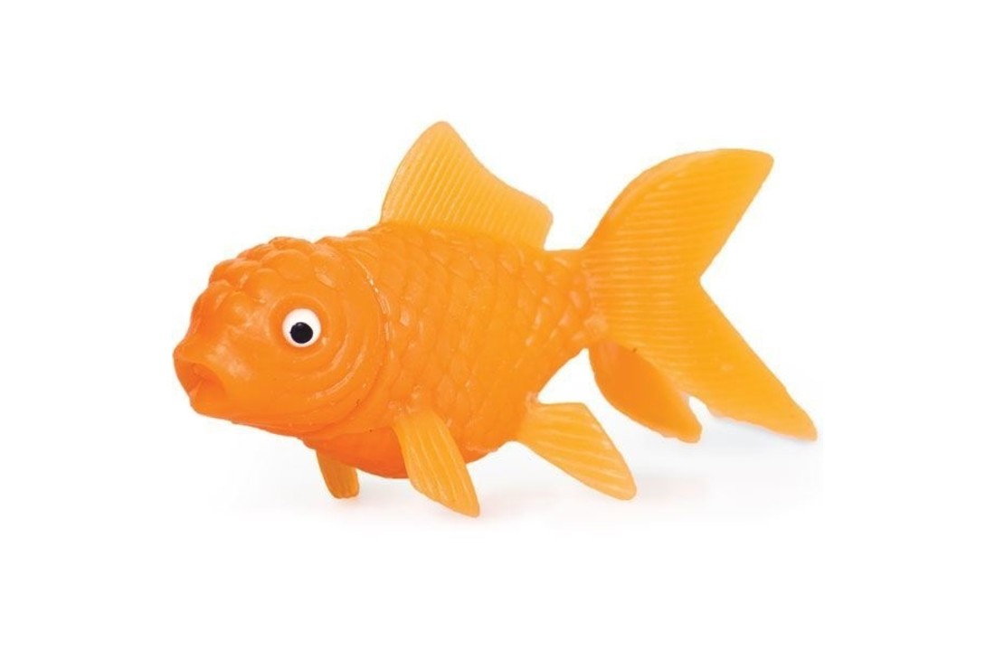 Squirting Goldfish