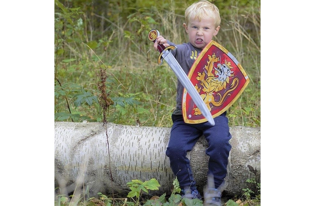 LionTouch | Rood Ridder Schild En Zwaard