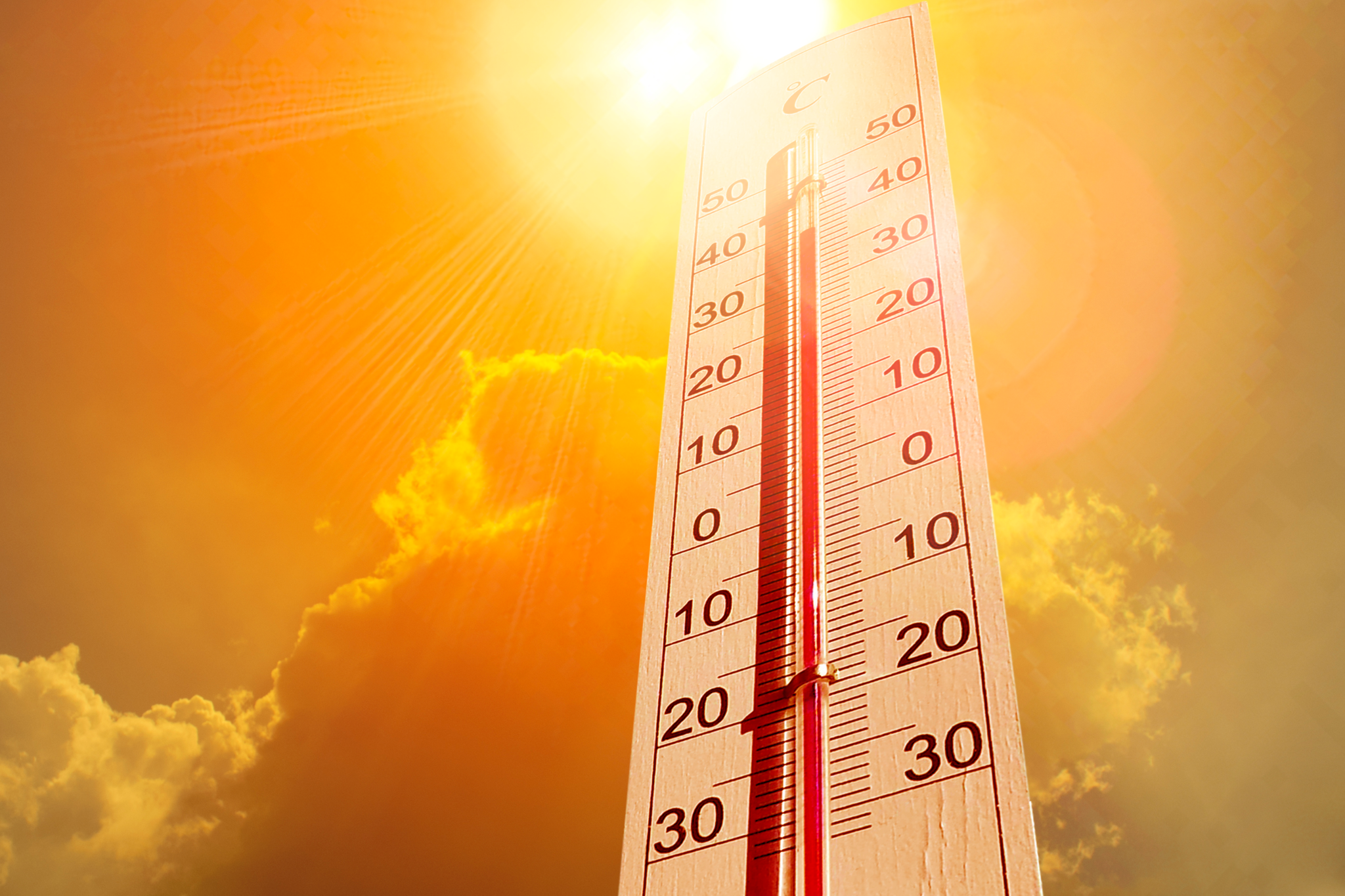 Wat kan ik doen voor mijn dieren bij hoge temperaturen?  Wat kan ik doen voor mijn dieren bij hoge temperaturen?