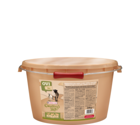 Quartes Quartes Ovilic Quartes Quartes Ovilic