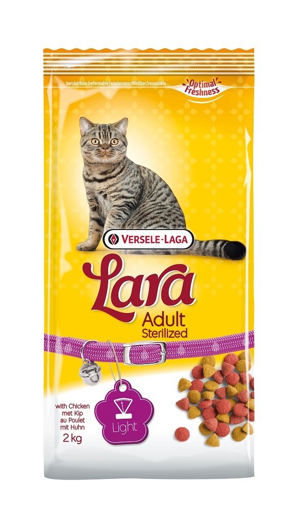 Lara Lara Adult Sterilized Lara Lara Adult Sterilized