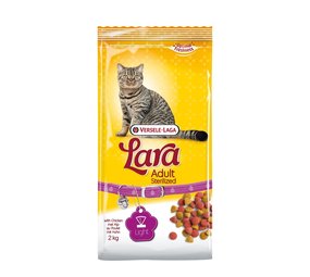Lara Lara Adult Sterilized Lara Lara Adult Sterilized
