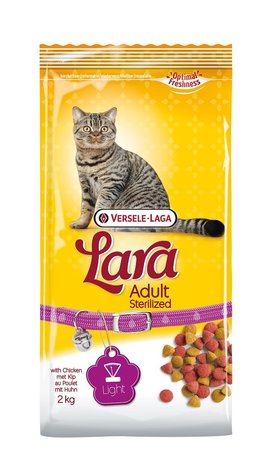 Lara Lara Adult Sterilized Lara Lara Adult Sterilized