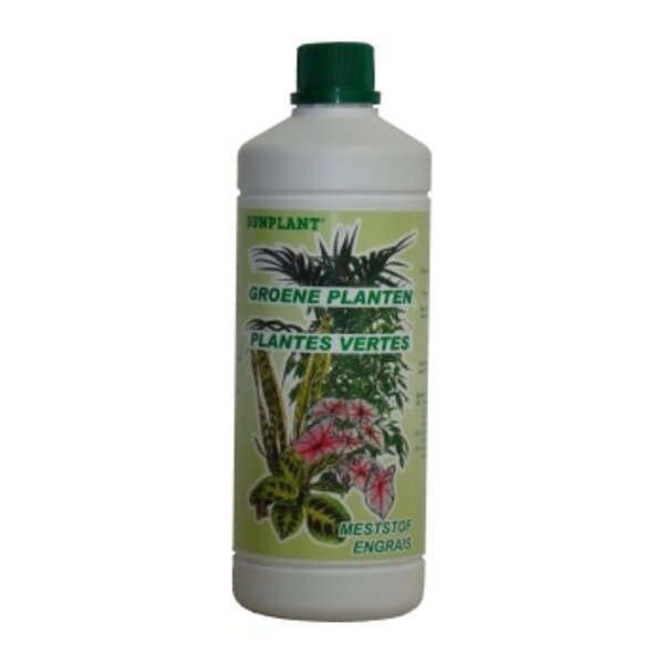 Sunplant Sunplant Groene Planten Sunplant Sunplant Groene Planten