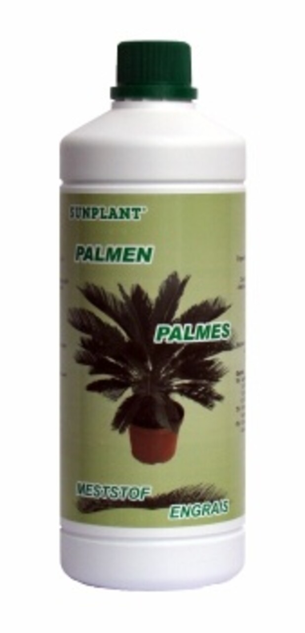 Sunplant Sunplant Palmen