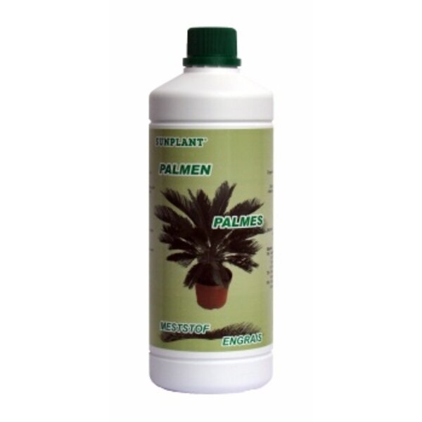 Sunplant Sunplant Palmen