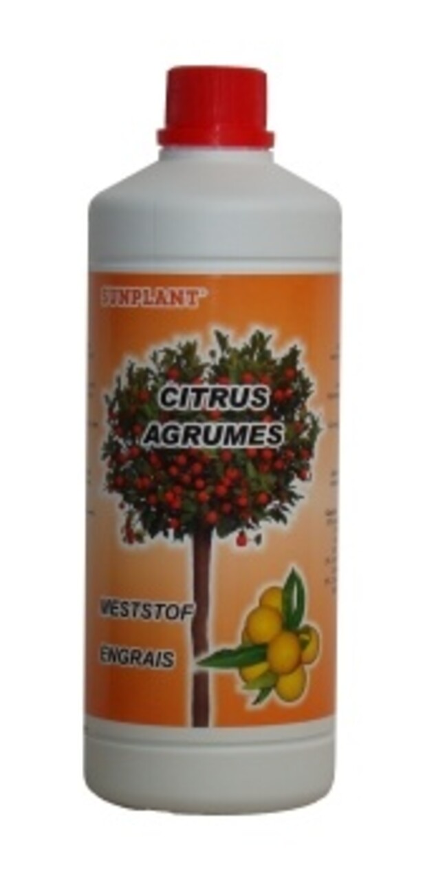 Sunplant Sunplant Citrus