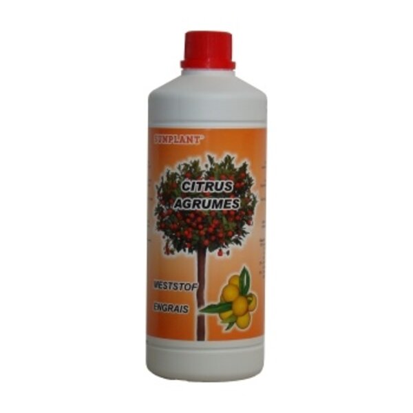 Sunplant Sunplant Citrus