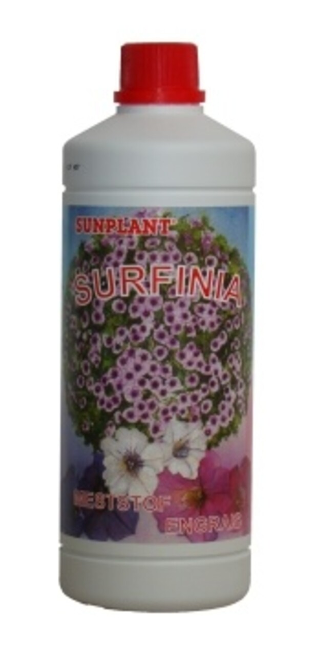 Sunplant Sunplant Surfinia