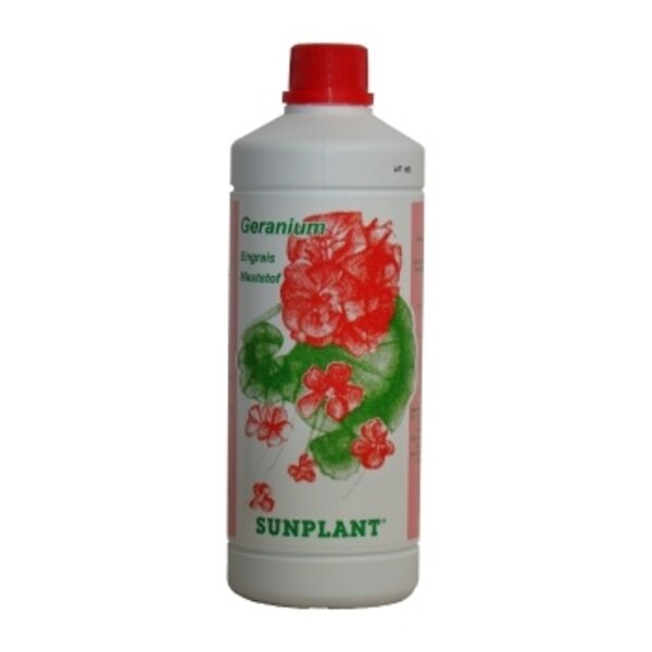 Sunplant Sunplant Bloei