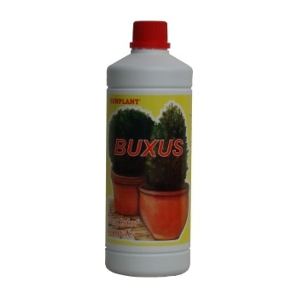 Sunplant Sunplant Buxusmest Sunplant Sunplant Buxusmest
