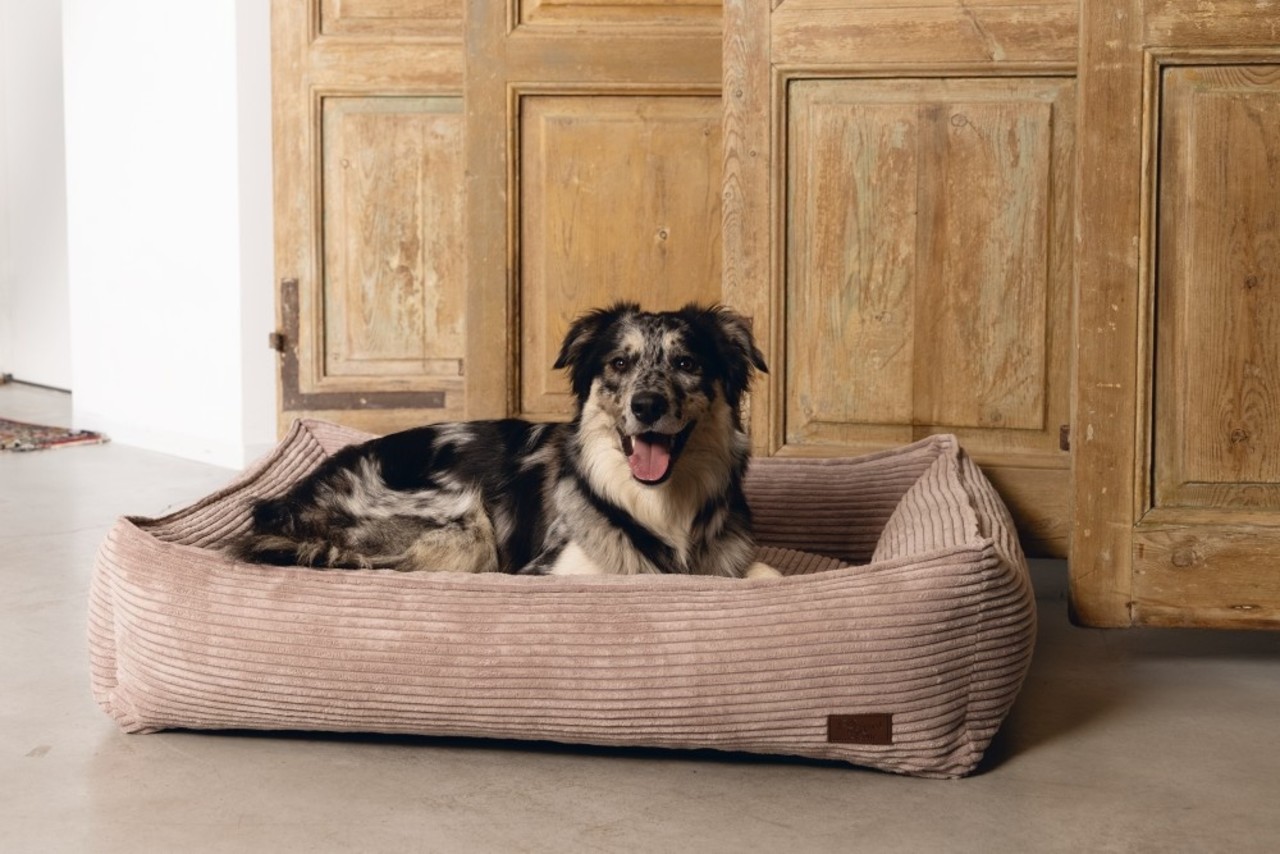 Designed by Lotte Designed by Lotte Mand Ribbed Roze