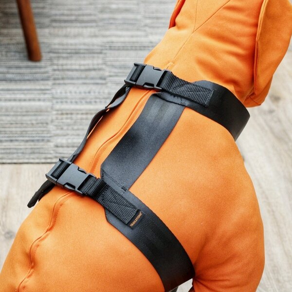 Trailstone Trailstone Dog Seat Belt Autoharnas