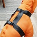Trailstone Trailstone Dog Seat Belt Autoharnas