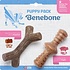 Benebone Puppy Pack Maplestick - Zaggler Bacon Benebone Puppy Pack Maplestick - Zaggler Bacon