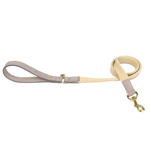 Fantail Fantail Leiband Hond Tau Grijs