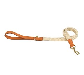 Fantail Fantail Leiband Hond Tau Lichtbruin