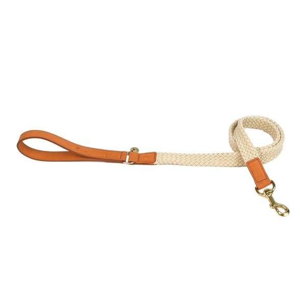 Fantail Fantail Leiband Hond Tau Lichtbruin Fantail Fantail Leiband Hond Tau Lichtbruin