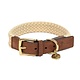 Fantail Halsband Hond Tau Donkerbruin