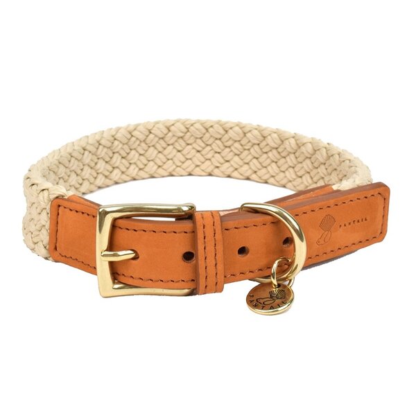 Fantail Fantail Halsband Hond Tau Lichtbruin