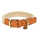 Fantail Halsband Hond Tau Lichtbruin