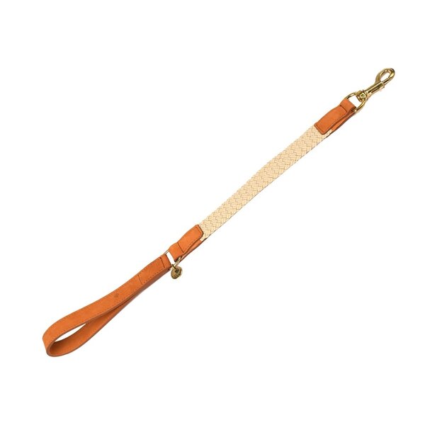 L 60 cm x B 2,5 cm L 60 cm x B 2,5 cm