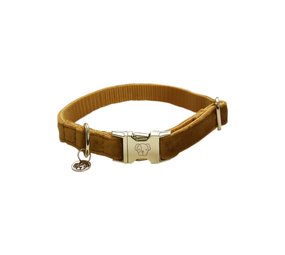 Kentucky Dogwear Kentucky Dogwear Velvet Halsband Mosterd Kentucky Dogwear Kentucky Dogwear Velvet Halsband Mosterd