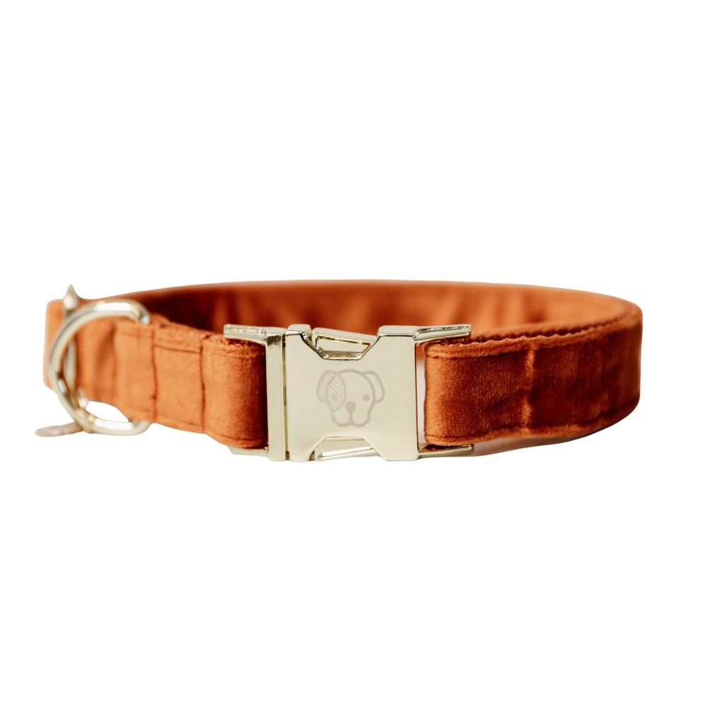 Kentucky Dogwear Kentucky Dogwear Velvet Halsband Oranje Kentucky Dogwear Kentucky Dogwear Velvet Halsband Oranje