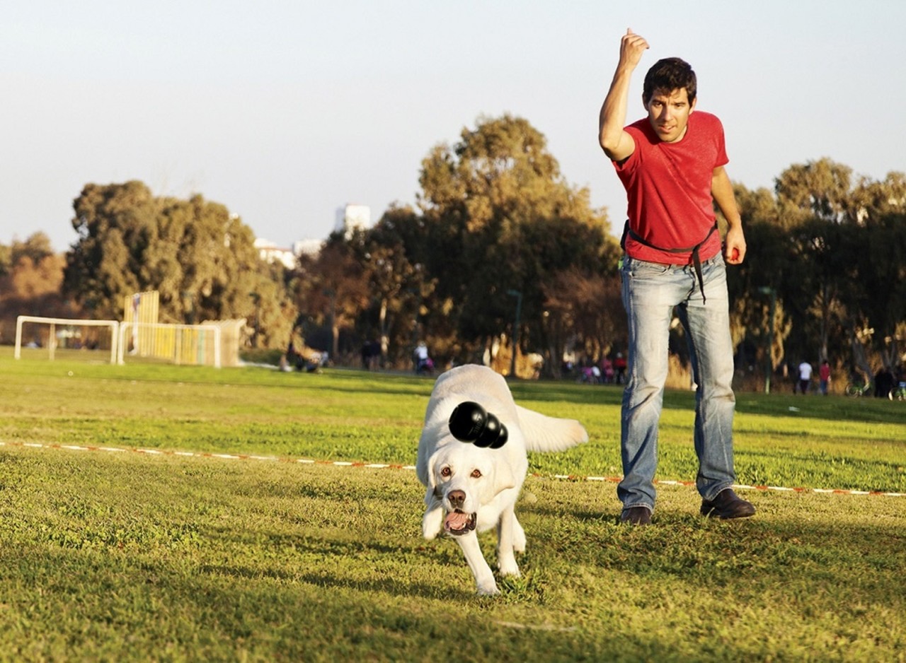 Kong X-L: gewicht hond tussen 27 - 41 kg Kong X-L: gewicht hond tussen 27 - 41 kg