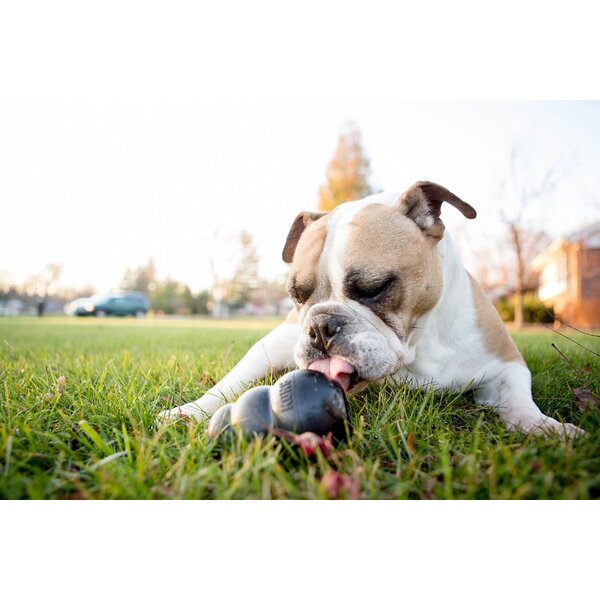 Kong X-L: gewicht hond tussen 27 - 41 kg Kong X-L: gewicht hond tussen 27 - 41 kg