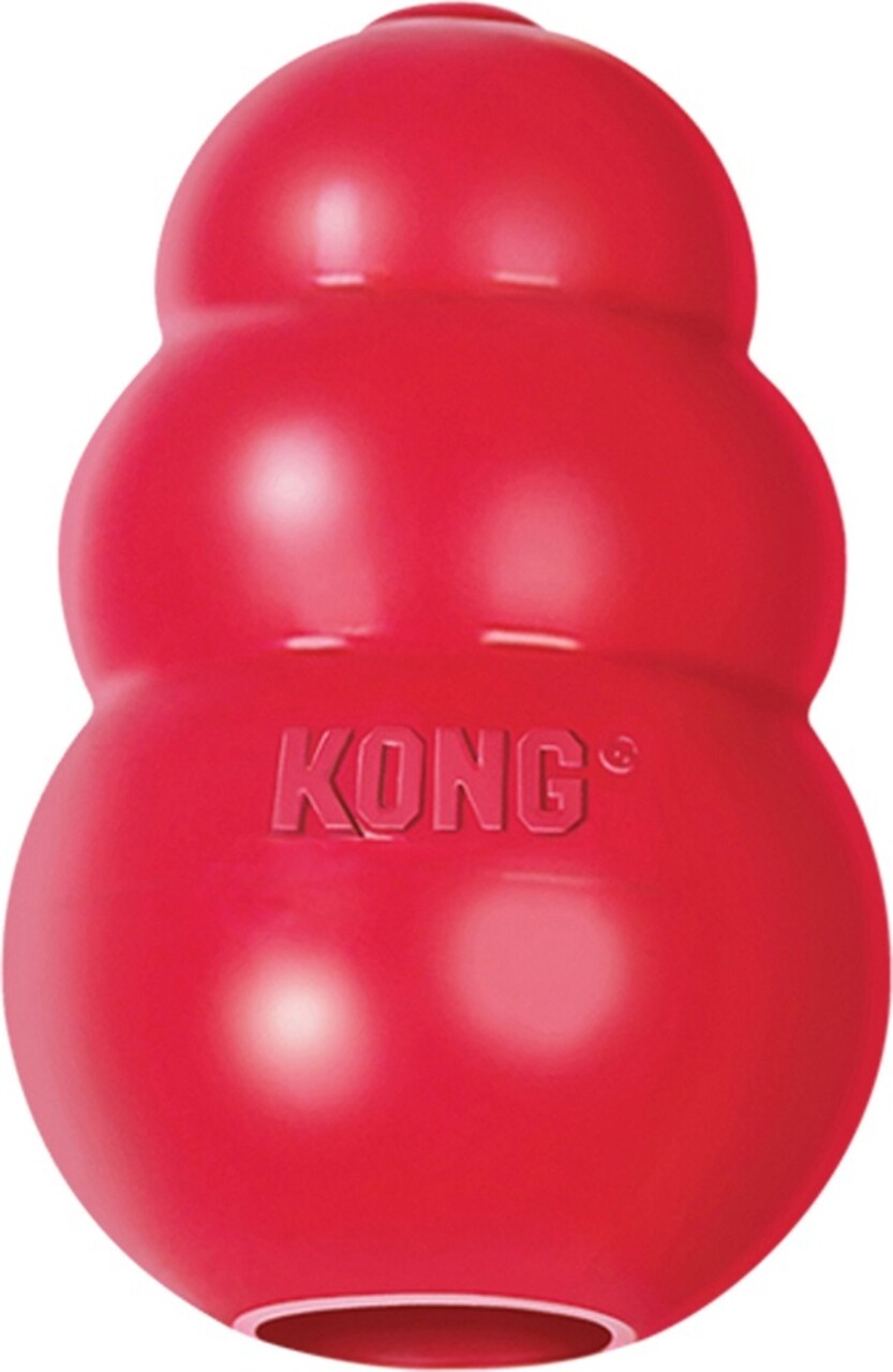 Kong X-Small: Kong X-Small: