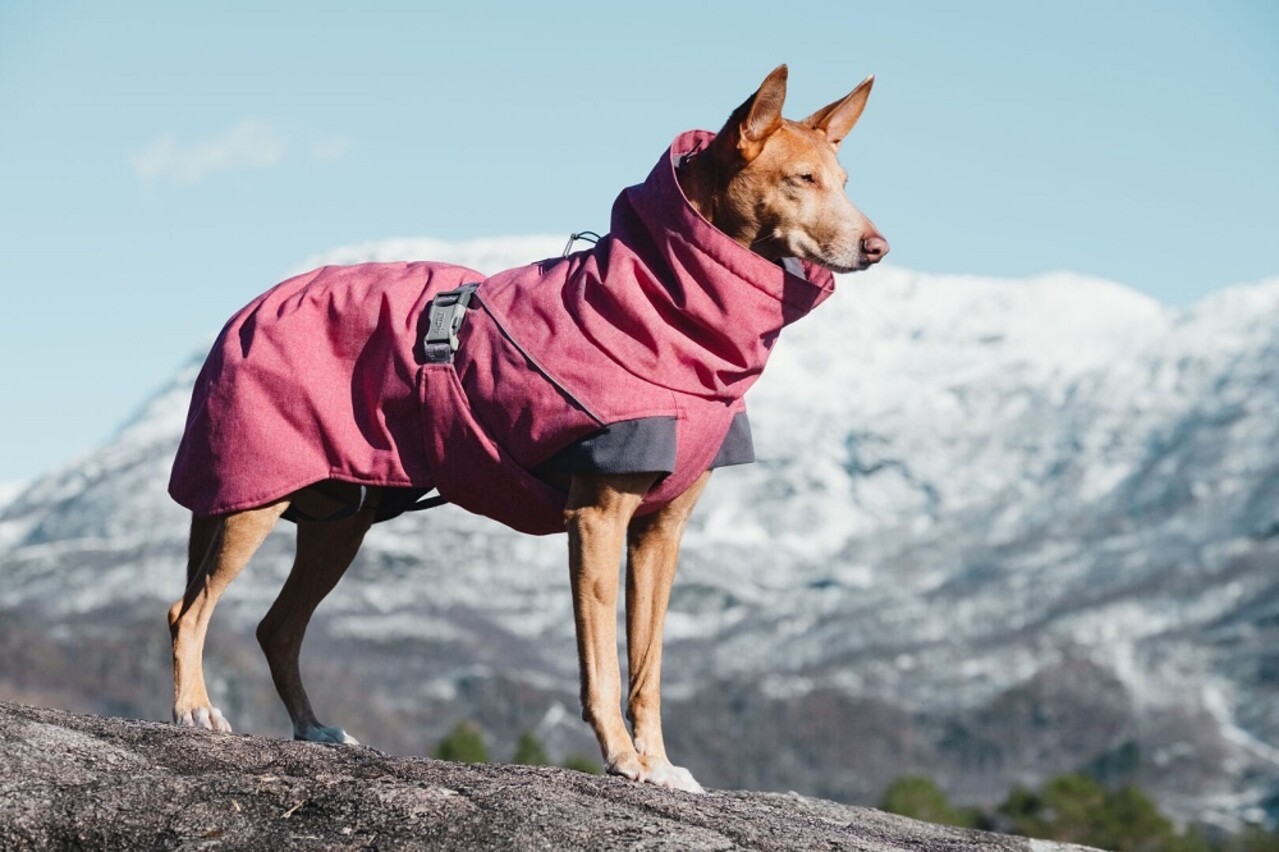 Hurtta Hurtta Hondenjas Expedition Parka Beetroot Roze