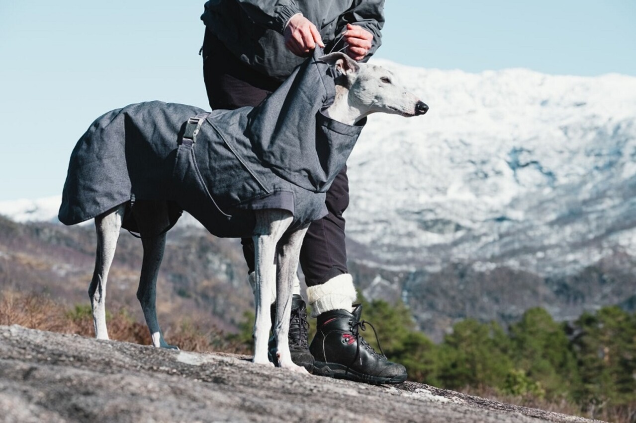 Hurtta Hurtta Hondenjas Expedition Parka Blackberry Grijs Hurtta Hurtta Hondenjas Expedition Parka Blackberry Grijs