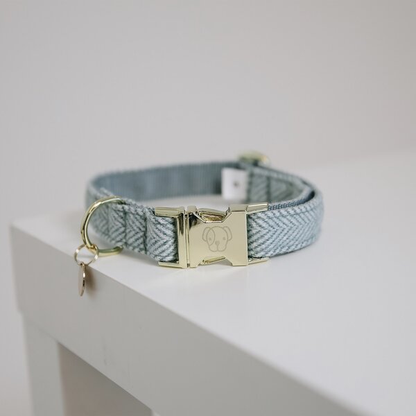 Kentucky Dogwear Kentucky Dogwear Halsband Hond Wool Licht Blauw Kentucky Dogwear Kentucky Dogwear Halsband Hond Wool Licht Blauw
