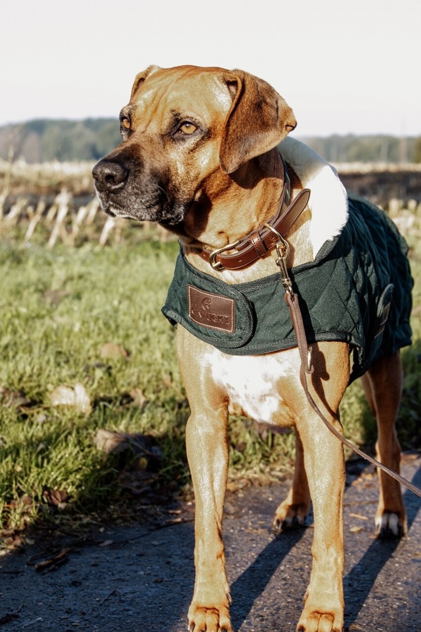 Kentucky Dogwear Kentucky Dogwear Hondenjas Original Donkergroen Kentucky Dogwear Kentucky Dogwear Hondenjas Original Donkergroen