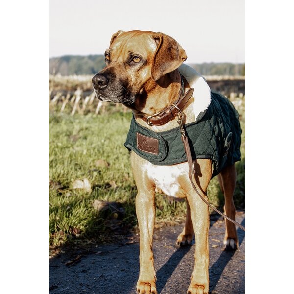 Kentucky Dogwear Kentucky Dogwear Hondenjas Original Donkergroen Kentucky Dogwear Kentucky Dogwear Hondenjas Original Donkergroen