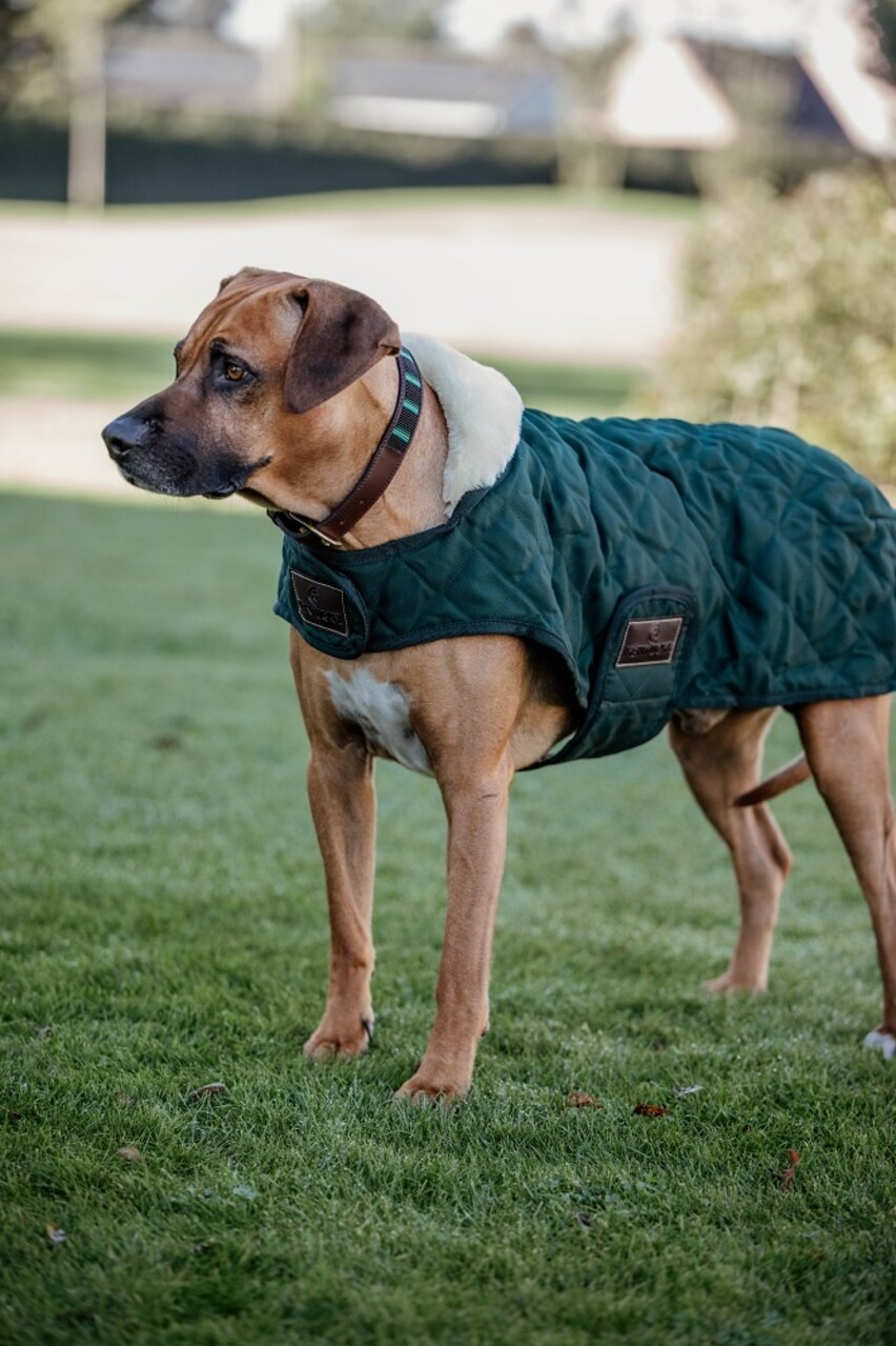 Kentucky Dogwear Kentucky Dogwear Hondenjas Original Donkergroen Kentucky Dogwear Kentucky Dogwear Hondenjas Original Donkergroen