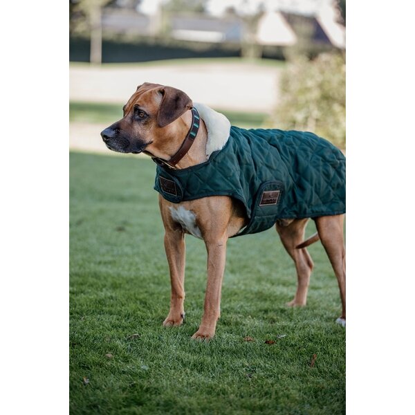 Kentucky Dogwear Kentucky Dogwear Hondenjas Original Donkergroen Kentucky Dogwear Kentucky Dogwear Hondenjas Original Donkergroen