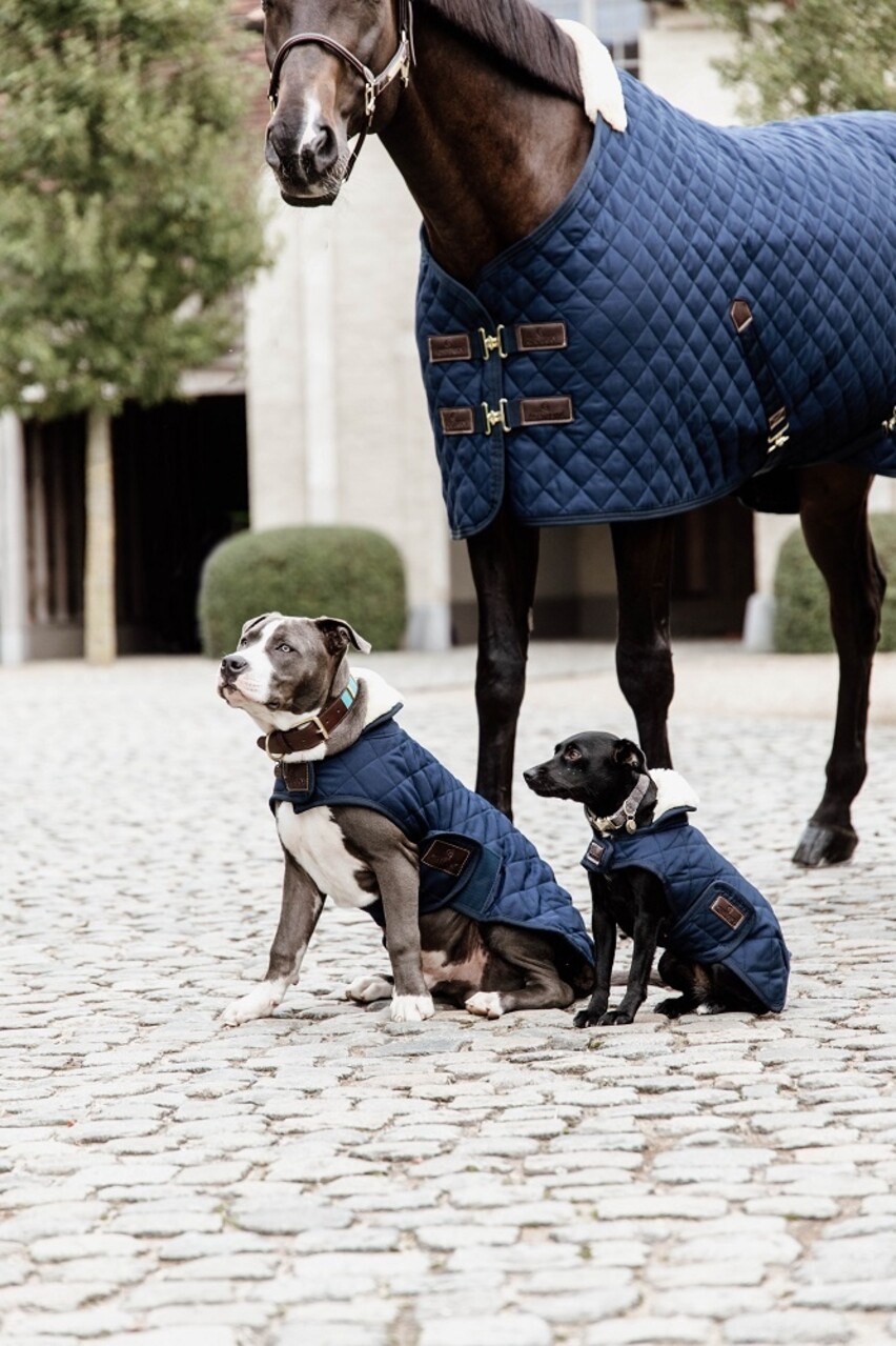 Kentucky Dogwear Kentucky Dogwear Hondenjas Original Navy