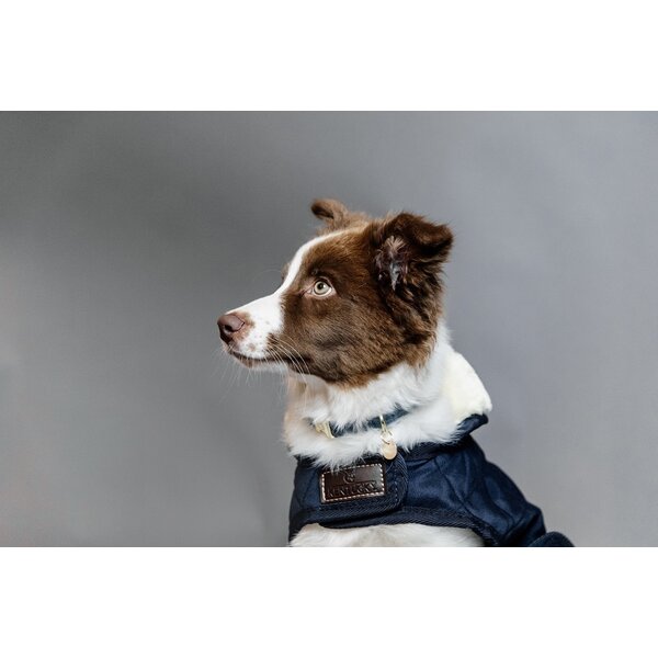 Kentucky Dogwear Kentucky Dogwear Hondenjas Original Navy